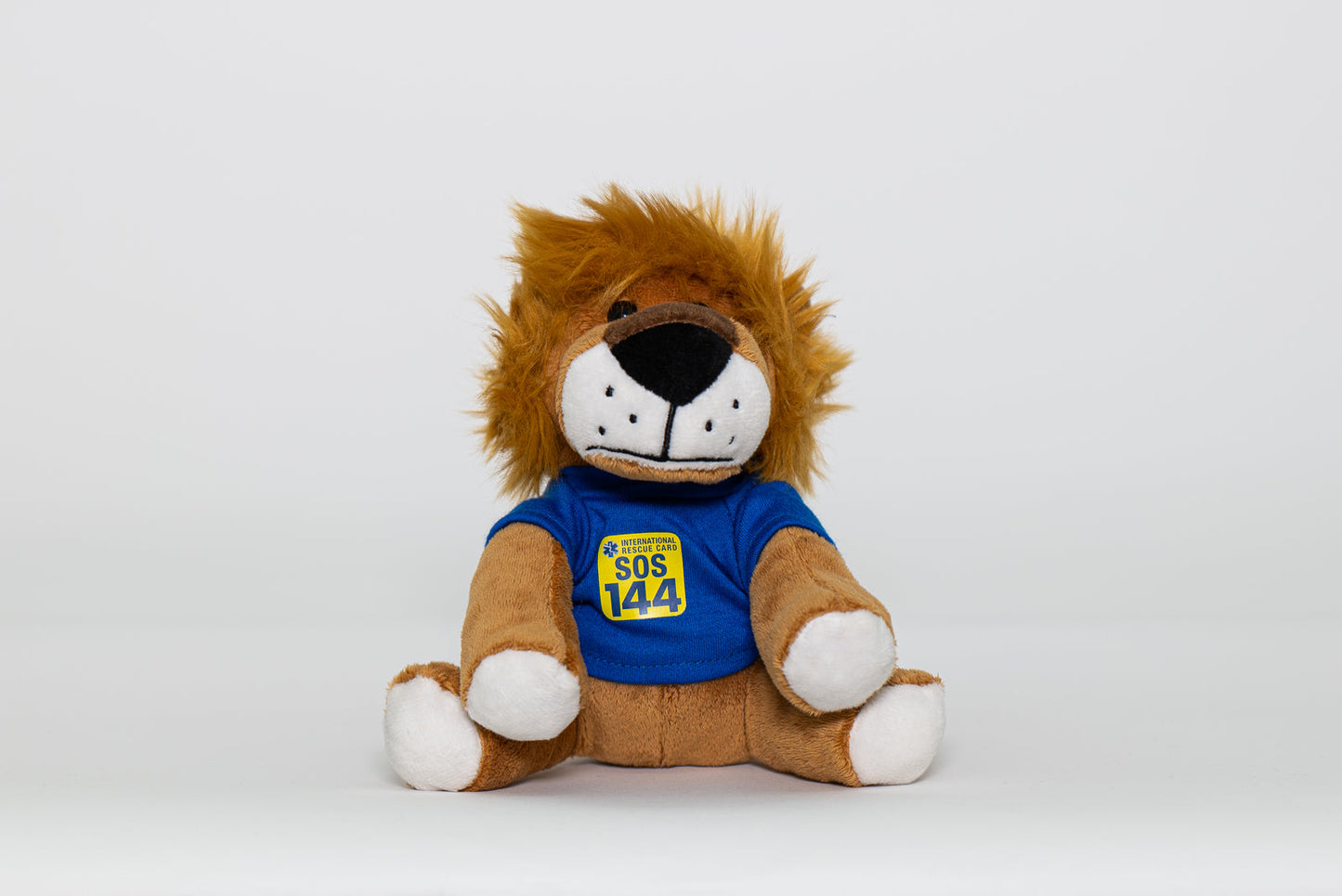 Lion der Löwe