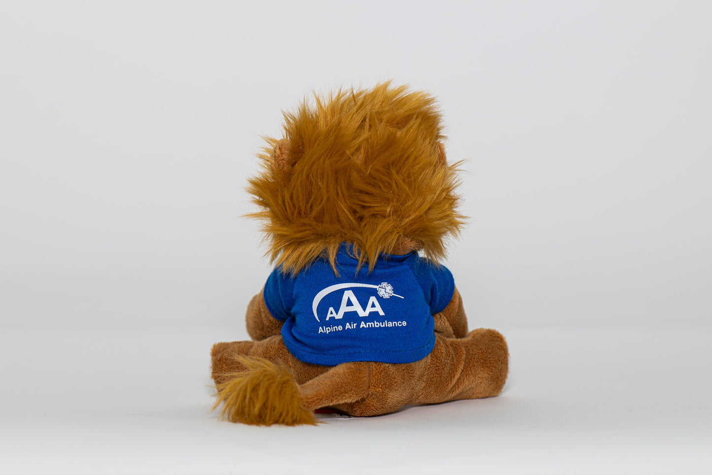 Lion der Löwe